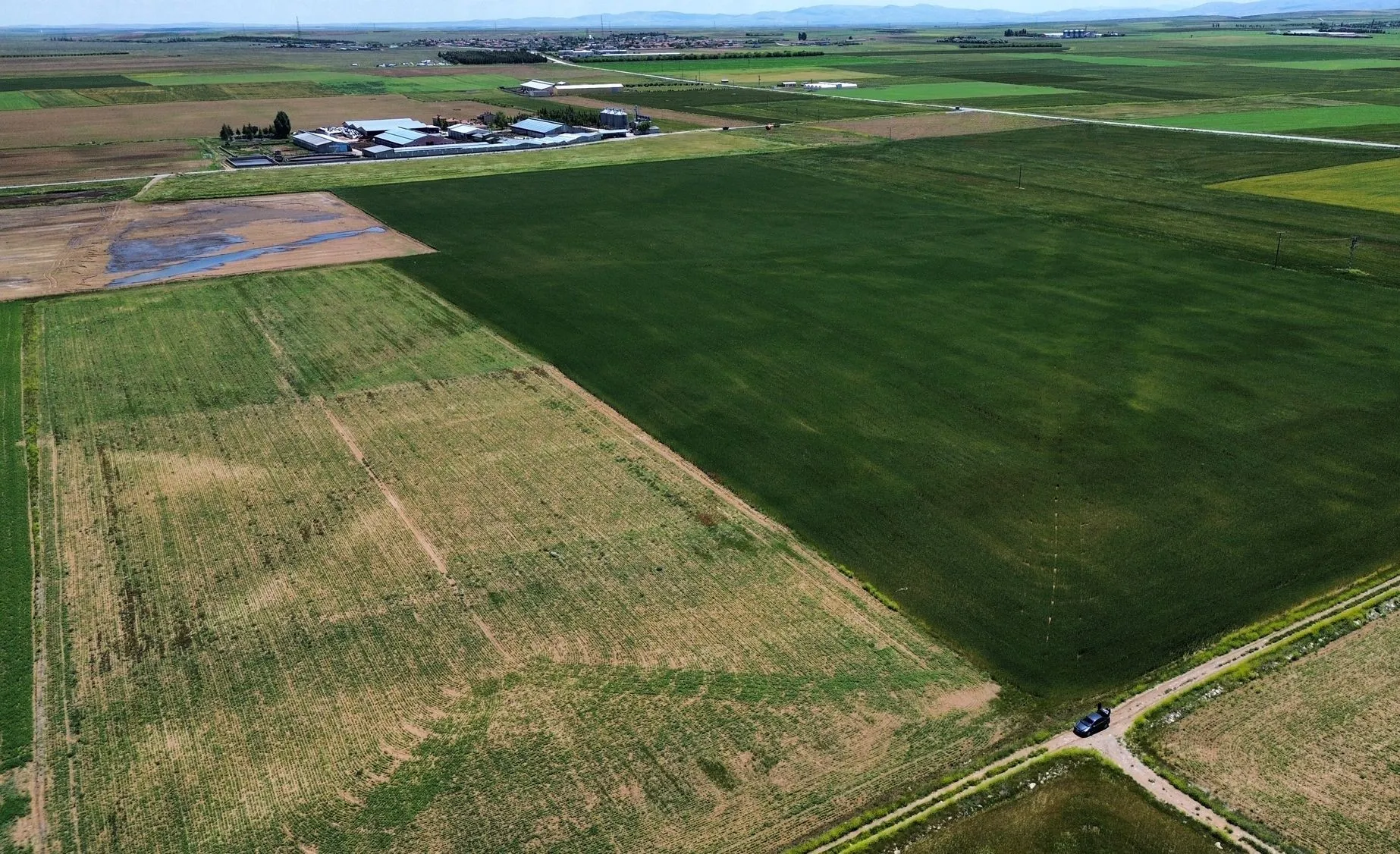 KONYA SARAYÖNÜ YUKARI'DA SATILIK 14.452 M2 KUPON TARLA!